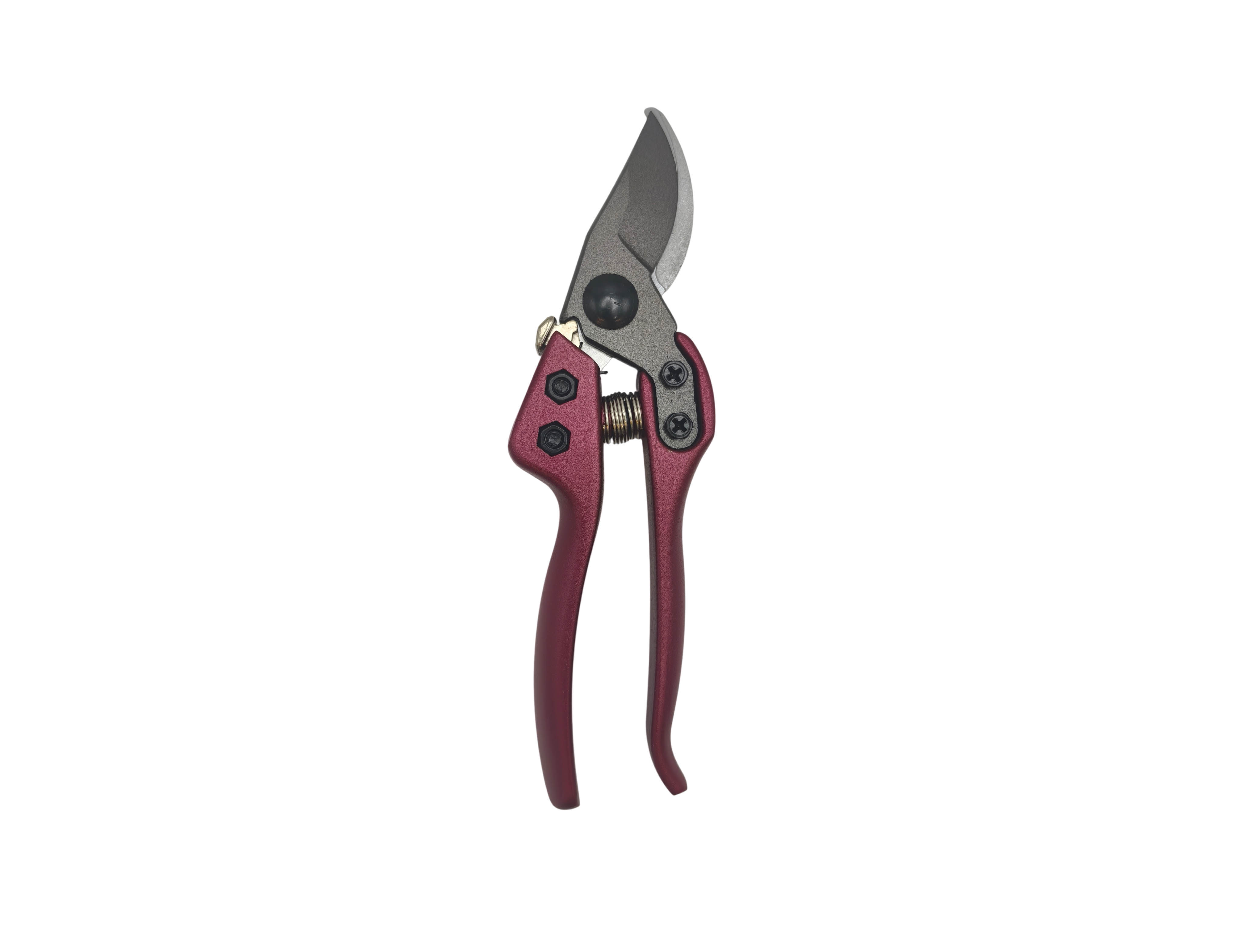 Pruning Shears