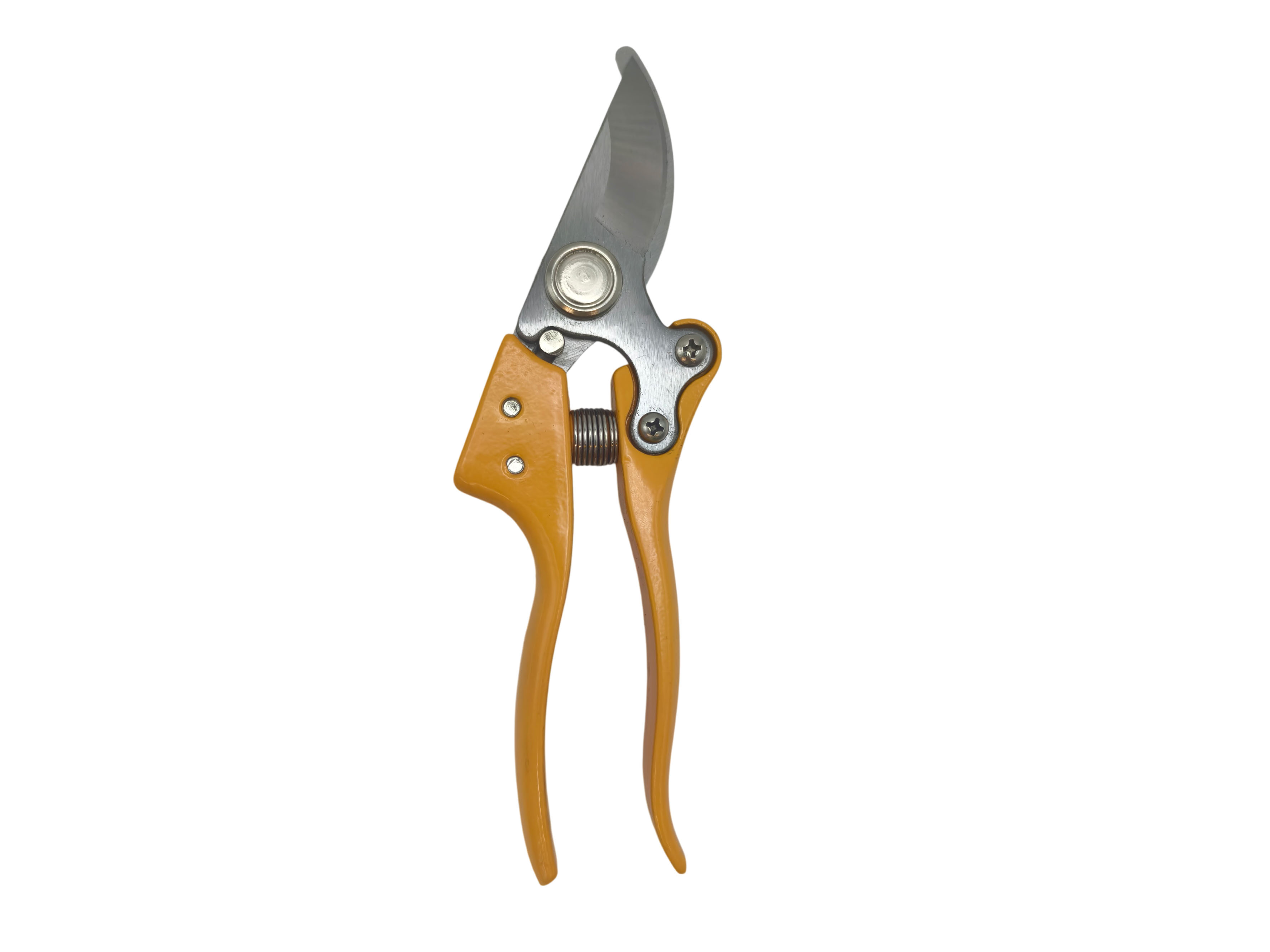 Pruning Shears