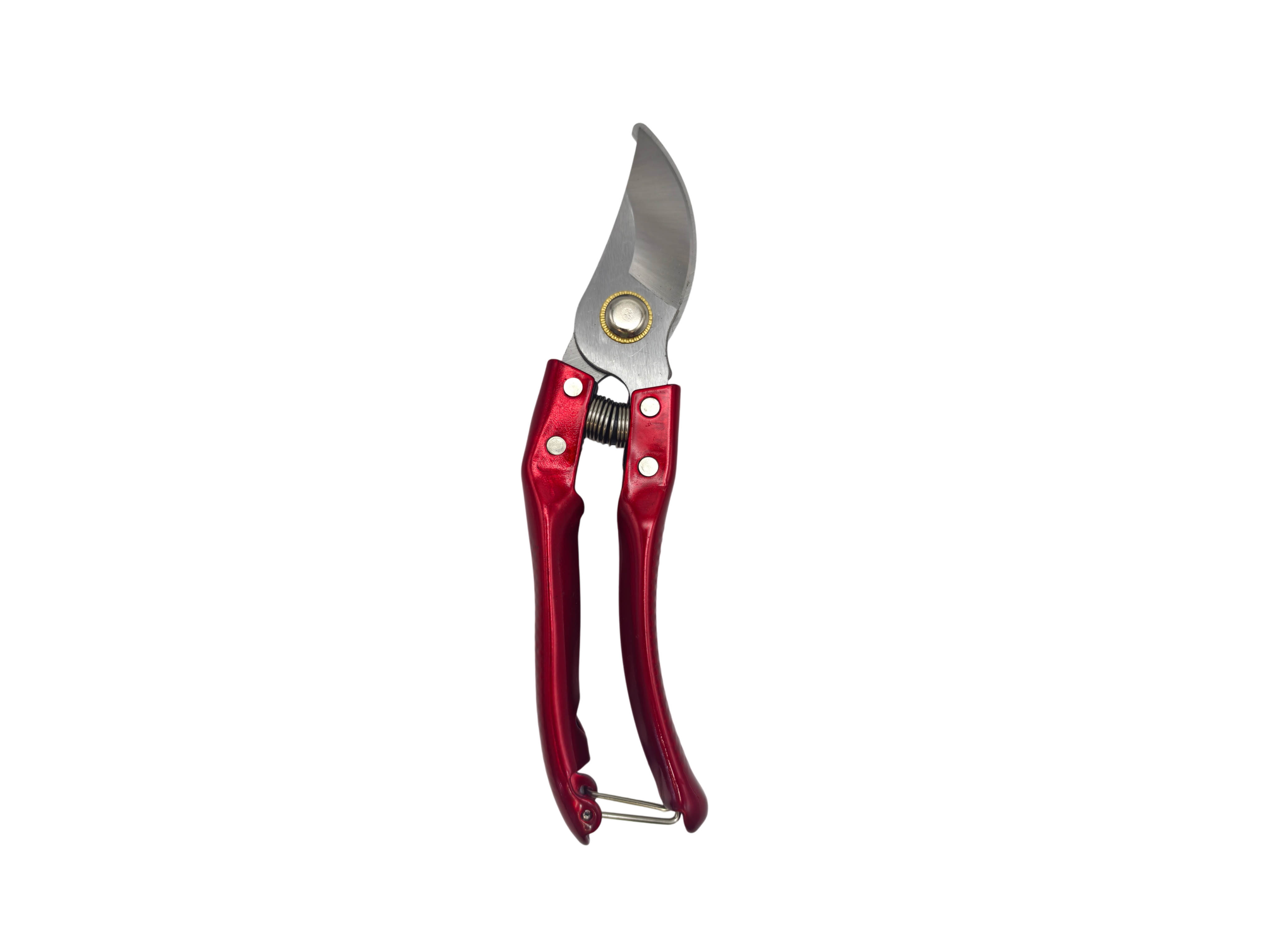 Pruning Shears